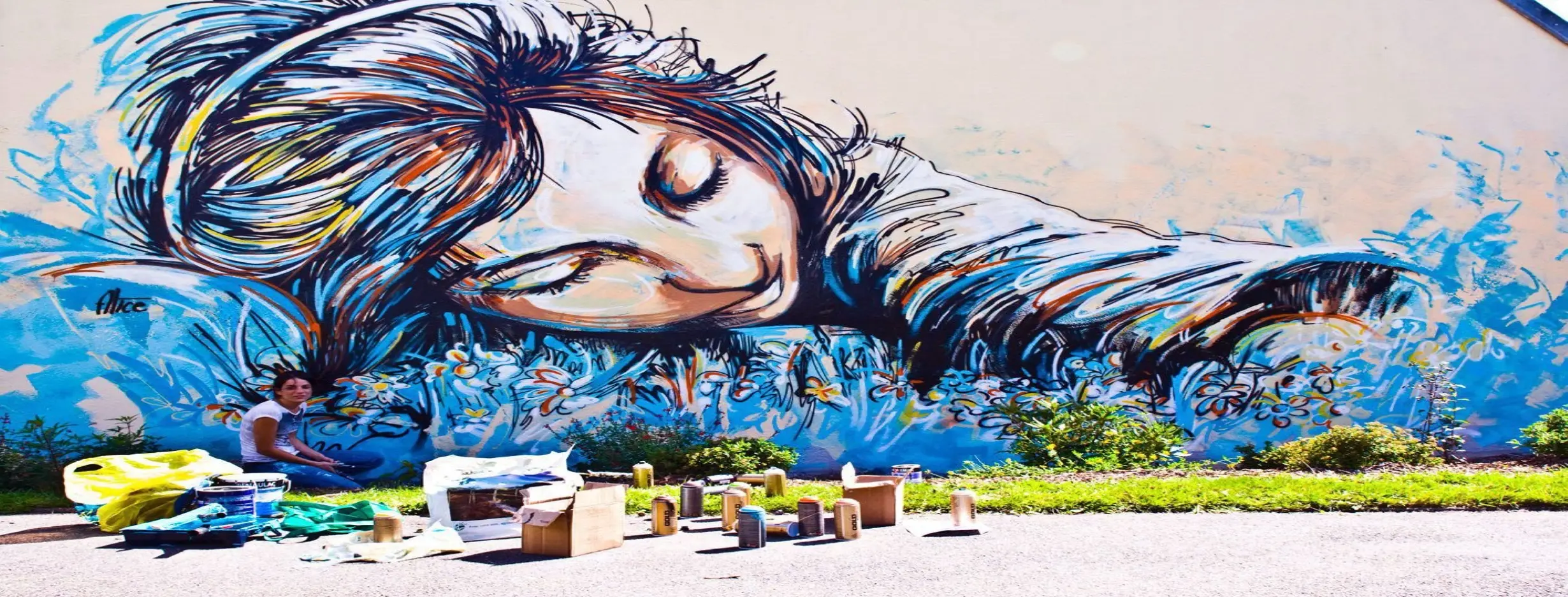 Image for Street Art Fusion